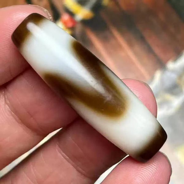 Tiger Tooth Dzi Bead. 38×11mm.