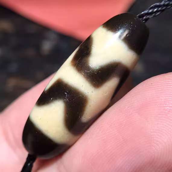 Two Tiger tooth DZI bead.30*11mm.16