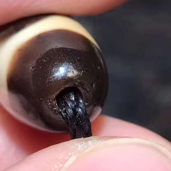 Two Tiger tooth DZI bead.30*11mm.16