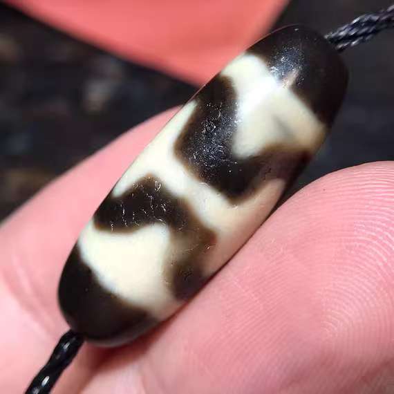 Two Tiger tooth DZI bead.30*11mm.16