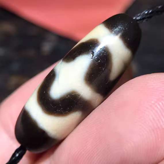 Two Tiger tooth DZI bead.30*11mm.16