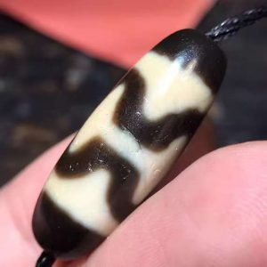 dc0d6d3520e70d2c0613d849bc39a50b Two Tiger tooth DZI bead.30*11mm.16