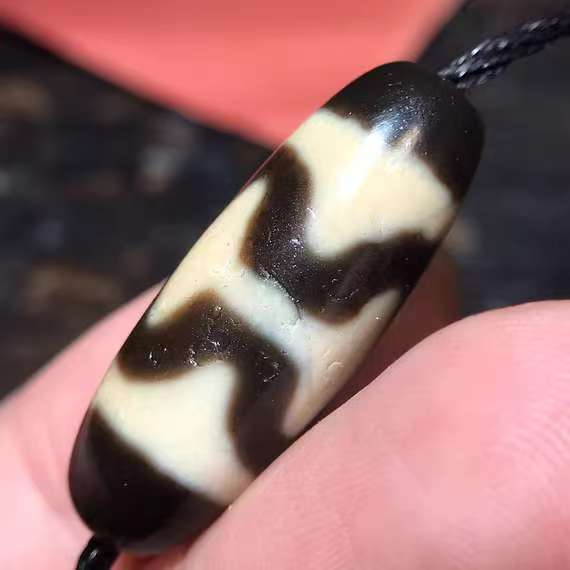 Two Tiger tooth DZI bead.30*11mm.16